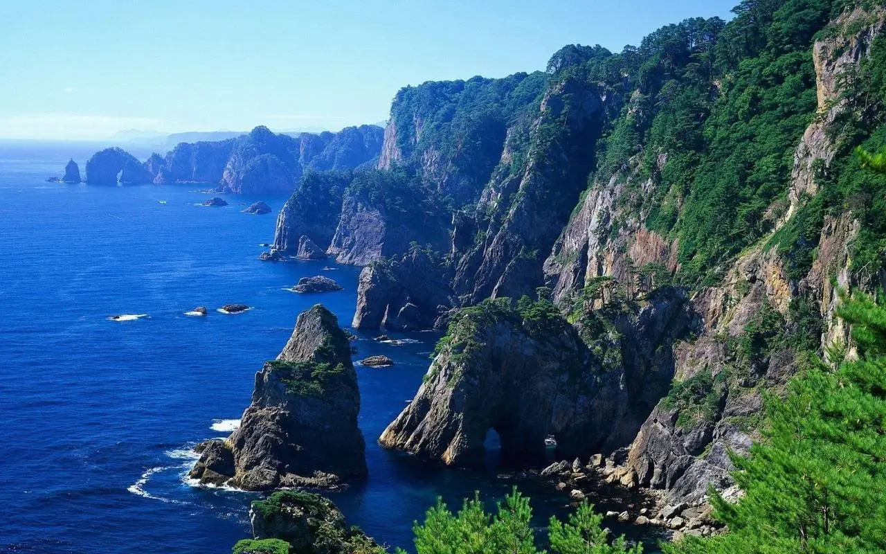 绿色高效高标准